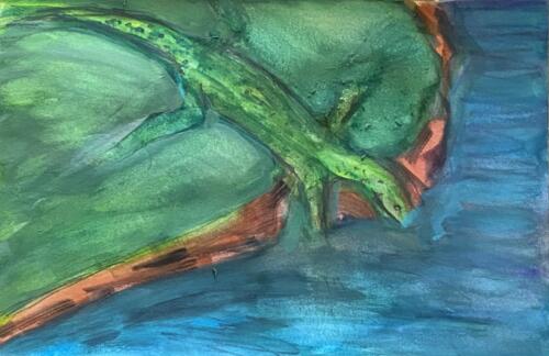 Vivid Lizard6”X9”Watercolor and Pencil