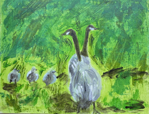 Wild Geese Family