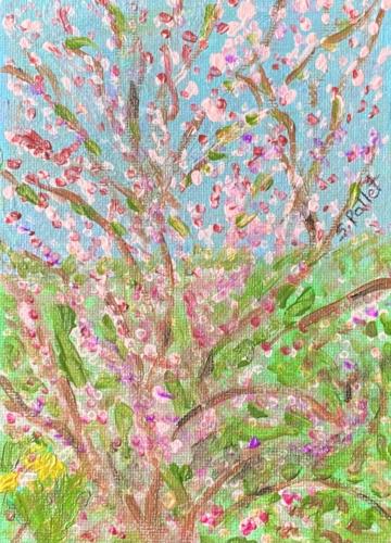 Blossom Time5”X 7”AcrylicSold