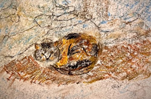 Cat Series: Nest of Twigs7”X10”Acrylics and Pastels on Paper