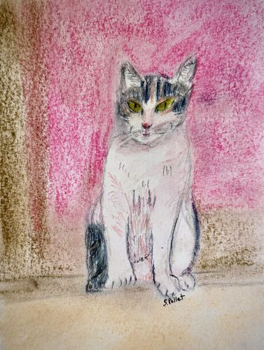 Cat Series: Ready To Pounce7”X10”Acrylics and Pastels on Paper