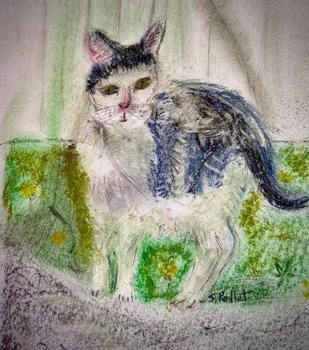 Cat Series: Folk Art Cat5.5”X 8.5”Pastels on Paper