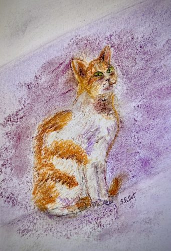 Cat Series: Hopeful7”X10”Acrylics and Pastels on Paper