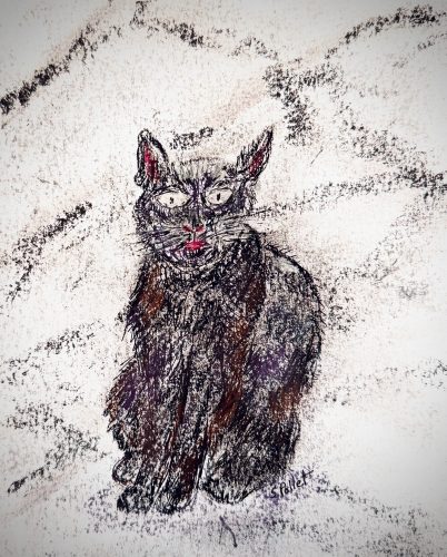 Cat Series: Black Cat5.5”X 8.5”Pastels on Paper