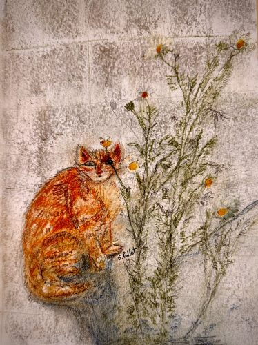 Cat Series: Nowhere to Hide5.5”X 8.5”Pastels on Paper