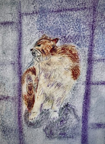 Cat Series: Scratching an Itch5.5”X 8.5”Pastels on Paper