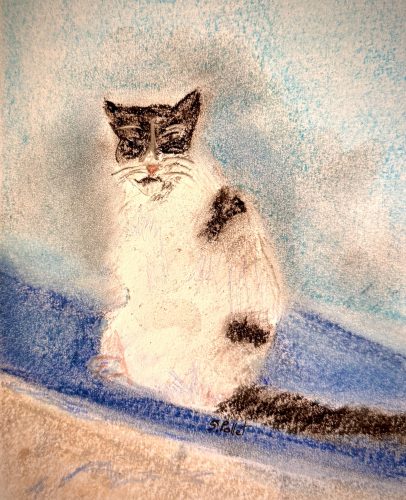 Cat Series: Not Approving5.5”X 8.5”Pastels on Paper