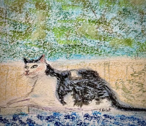 Cat Series: Seeing All5.5”X 8.5”Pastels on Paper