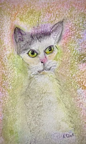 Cat Series: Eyes Wide Open5.5”X 8.5”Pastels on Paper