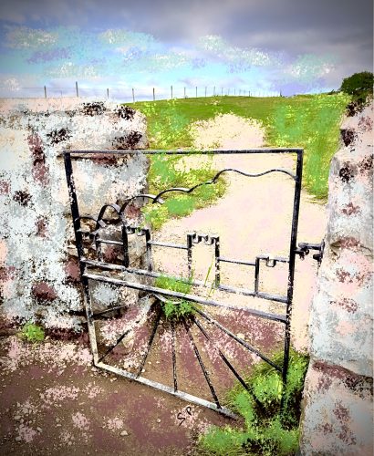 Gate as Art