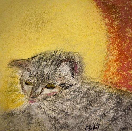Cat Series: No Meddling5.5”X 8.5”Pastels on Paper