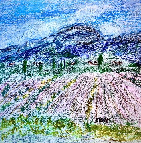 Albanian Field5.5”X 8.5”Pastels on Paper