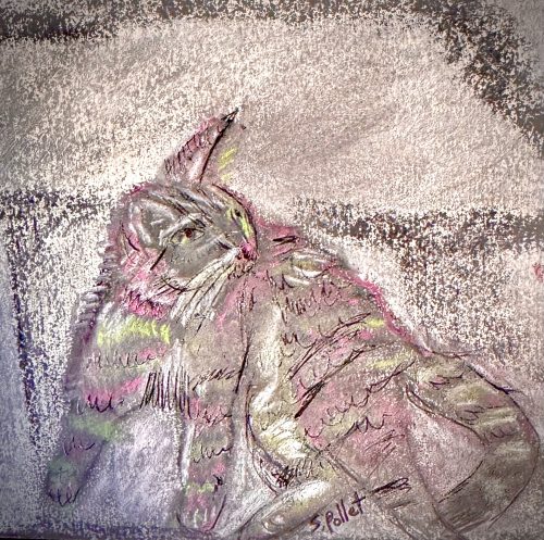 Cat Series: Ever Alert5.5”X 8.5”Pastels on Paper