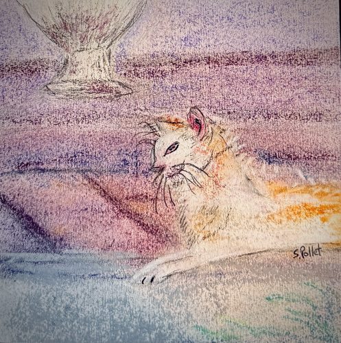 Cat Series: Waiting5.5”X 8.5”Pastels on Paper