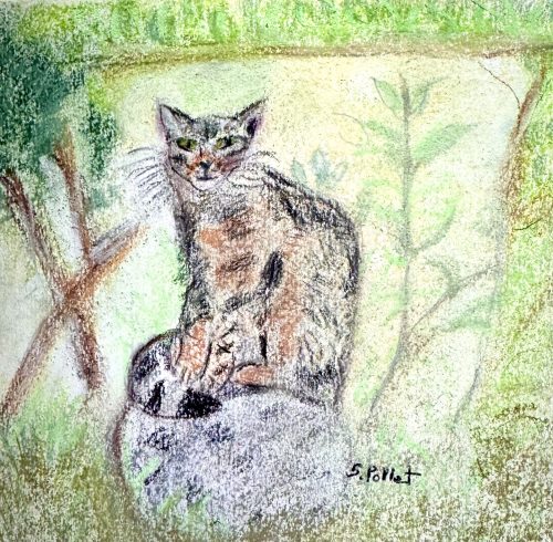 Cat Series: On A Pedestal5.5”X 8.5”Pastels on Paper