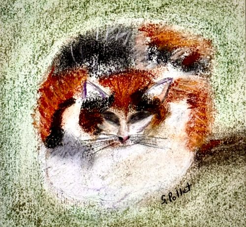 Cat Series: Rights For Chubbies5.5”X 8.5”Pastels on Paper