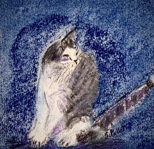 Cat Series: Dubious5.5”X 8.5”Pastels on Paper