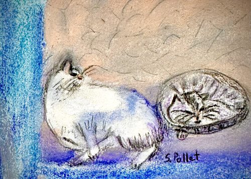 Cat Series: Duet5.5”X 8.5”Pastels on Paper