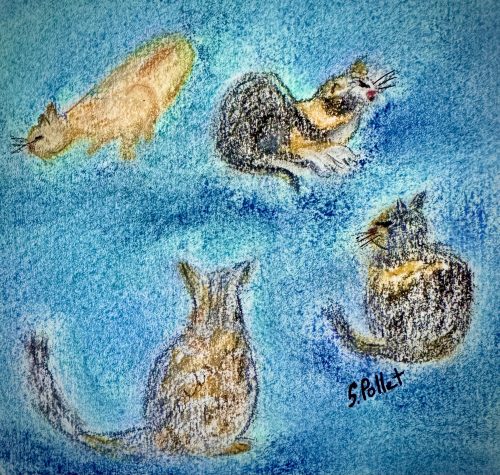 Cat Series: Individuality5.5”X 8.5”Pastels on Paper