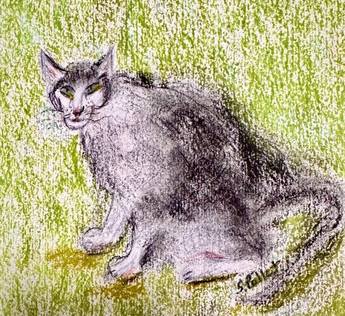 Cat Series: Dark Side5.5”X 8.5”Pastels on Paper