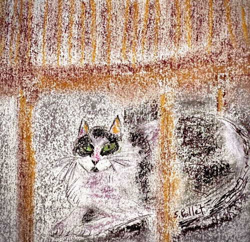 Cat Series: Under Furniture5.5”X 8.5”Pastels on Paper