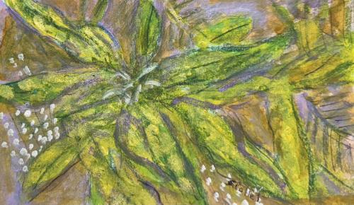 Speckled Leaves5”X8”Acrylic, Gouache, Pastel Pencils
