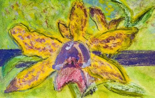 Orchid Close Up5”X8”Acrylic, Gouache, Pastel Pencils