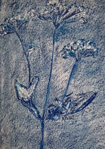 Flower Series: Floral Blues7”X10”Acrylics and Pastels on Paper