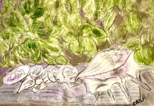 Still Life With Shells On Bench6”X 8”Acrylics and Pastels on Handmade Paper