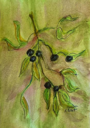 Olive Branch5.5”X8.5”Watercolor, Watercolor Pencils, Oil Pastels