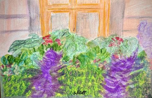 Window Box Profusion5.5” X 5.5”Oil Pastels, Pastel Pencils, Graphite