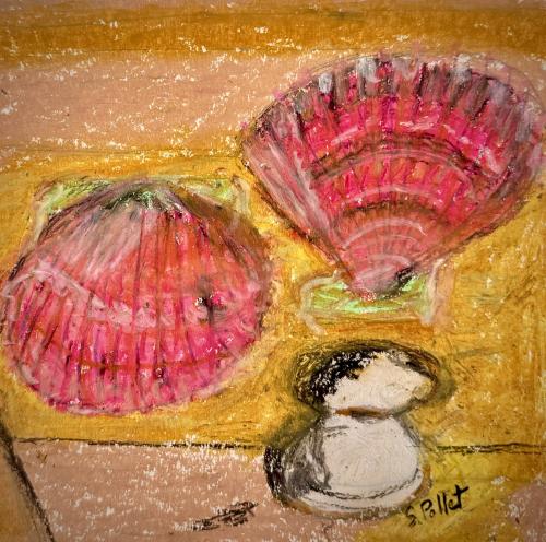 Shell Game5.5” X 5.5”Oil Pastels, Pastel Pencils, Graphite