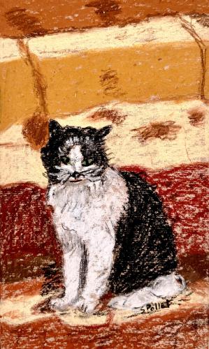 Street Cat5.9”X 5.9”Oil Pastels on Cardboard