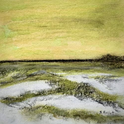 Island Life Series5.5”X 8.5”Pastels on Paper
