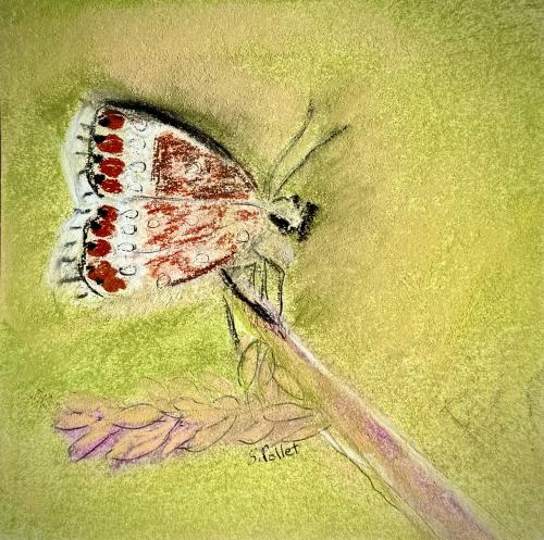 Island Life Series5.5”X 8.5”Pastels on Paper