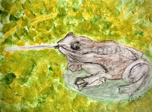 Frick Frog5.5” X 8.5”Acrylics and Pastels on Paper