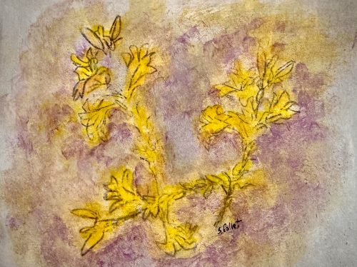 Organic Forms5.5” X 8.5”Acrylic on Paper