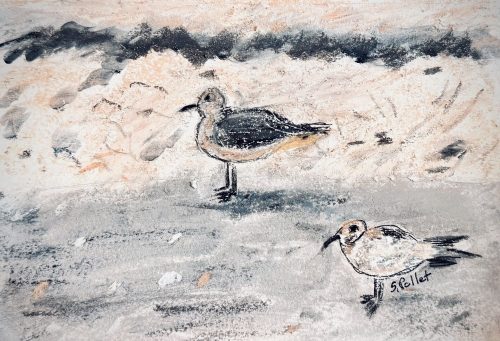 Shore Birds5.5”X 8.5”Acrylics and Pastels on Paper