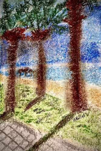 Palms on Boardwalk5.5”X 8.5”Pastels on Paper