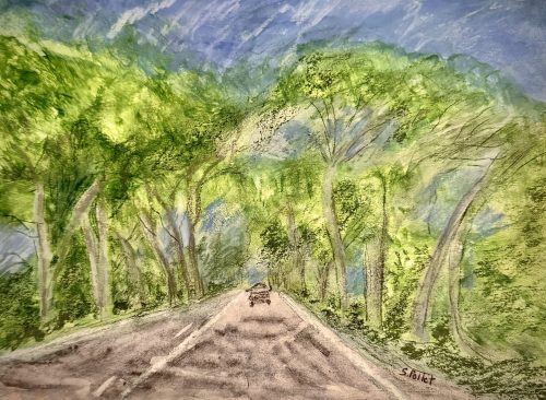 Tree Canopy7”X10”Acrylics and Pastels on Paper