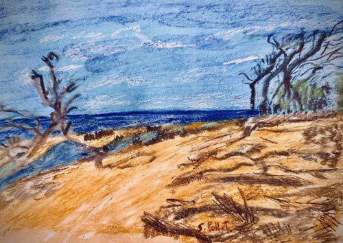 Driftwood7”X10”Acrylics and Pastels on Paper