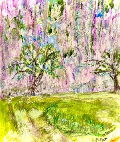 Spanish Moss7”X10”Acrylics and Pastels on Paper