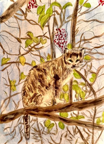 Feline Habitat7”X10”Acrylics and Pastels on Paper