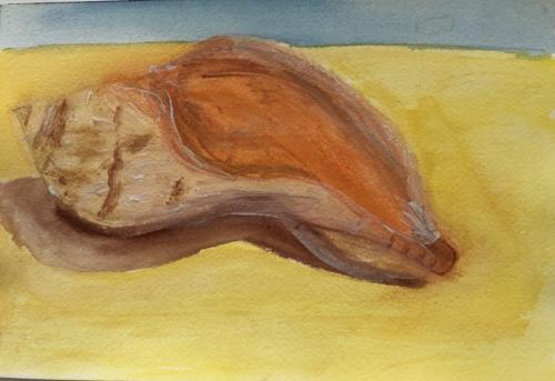 Shell7”X 10”Watercolor